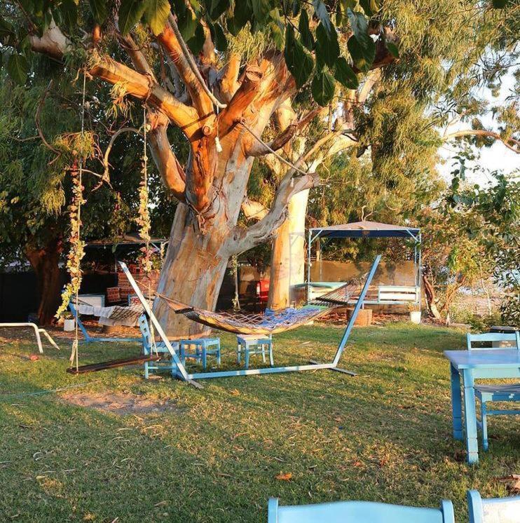 Bed & Breakfast Okaliptus Butik Hotel