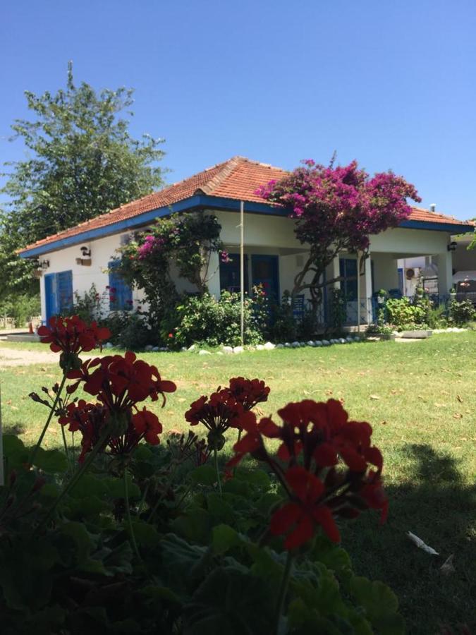 Bed & Breakfast Okaliptus Butik Hotel